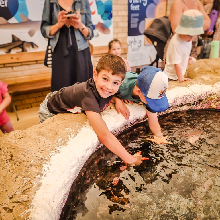 Two boys lean over a touch pool at an aquarium. One boy smiles at the camera while touching the water, and the other reaches in to gently hold a starfish. Other children and adults are nearby.